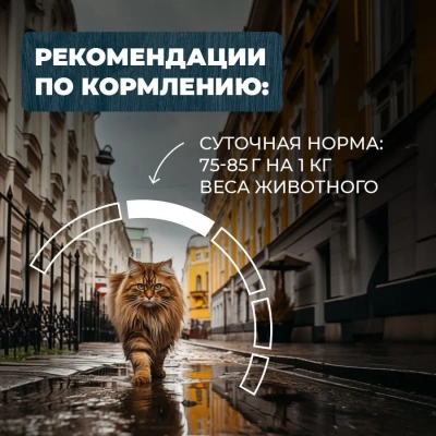 Родные корма 0,41кг с говядиной и морковкой кусочки в соусе по-ленинградски консервы для кошек (831380) NEW Родные корма 0,41кг с говядиной и морковкой кусочки в соусе по-ленинградски консервы для кошек (831380) NEW