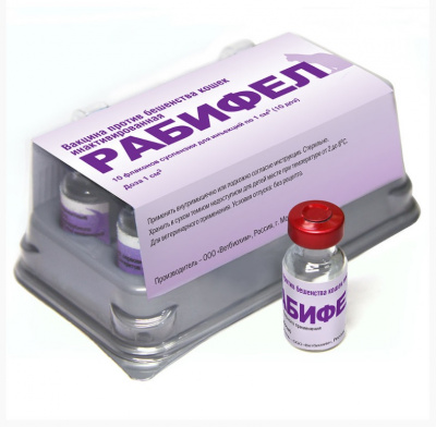 Рабифел 10 доз (упаковка) Рабифел 10 доз (упаковка)