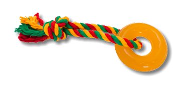 4be970e5-cf52-11e7-b175-003048dc4e8a_1