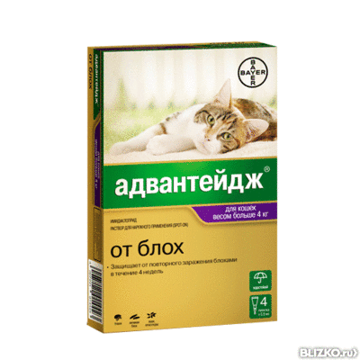 09fdd5d2-88fe-11d9-9648-bc8194f48eb4_1