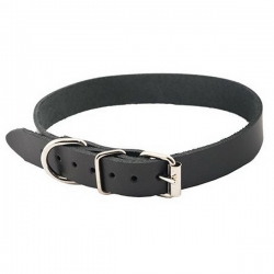 Ошейник (PerseiLine) БИОТАН 25&quot; 31-47 см серый L