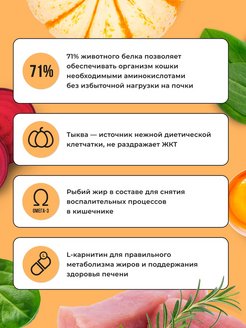 Bowl Wow 0,4кг с индейкой и тыквой сухой для кошек с чувствительным пищеварением (660170) Bowl Wow 0,4кг с индейкой и тыквой сухой для кошек с чувствительным пищеварением (660170)