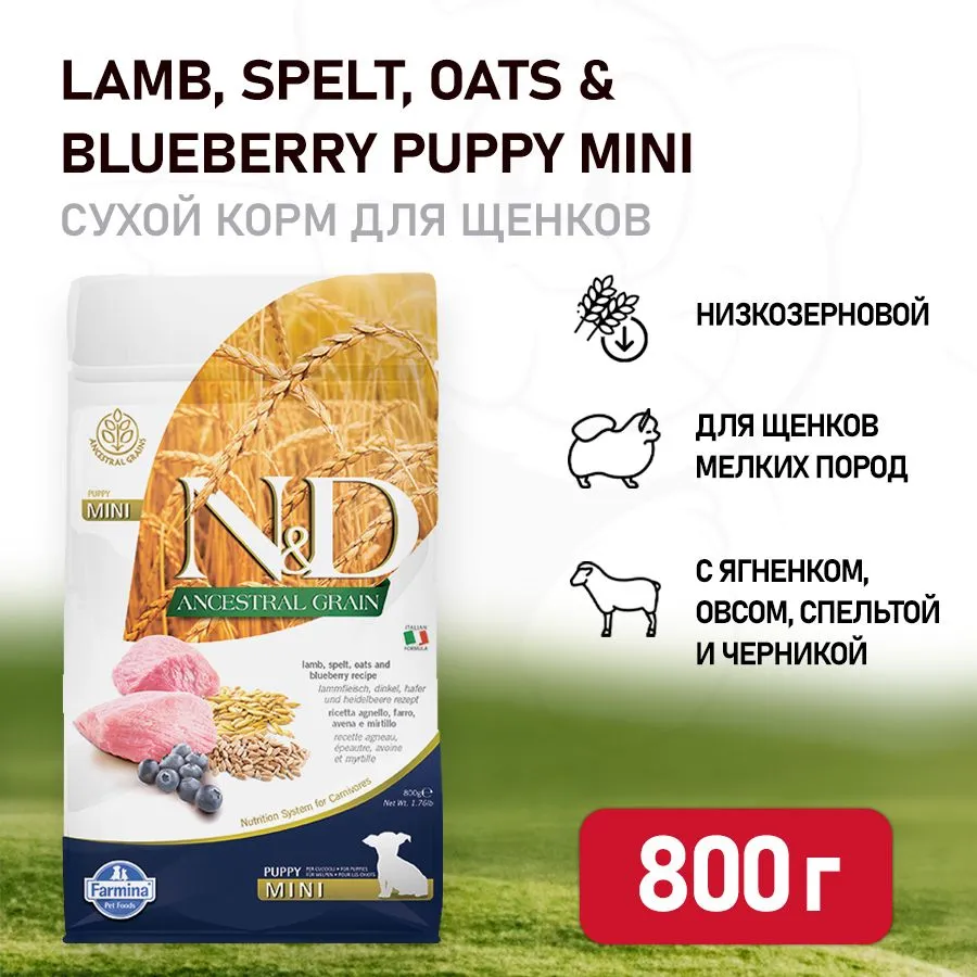 Farmina lamb. Farmina n&d Ancestral Grain Dog Lamb & Blueberry Puppy Mini. Корм для щенков Farmina ND мелких пород ягненок-черника-тыква 2.5кг. Корм ягненок с черникой. Farmina fun Dog Lamb 10 кг.