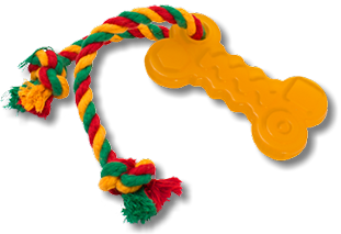 051f71e7-cf53-11e7-b175-003048dc4e8a_1