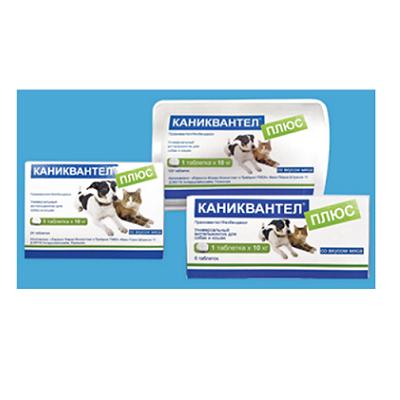 Каниквантел Плюс антигельминтик, 6 таблеток для кошек и собак, 1таб./10кг (ЛИЦЕНЗИЯ) Каниквантел Плюс антигельминтик, 6 таблеток для кошек и собак, 1таб./10кг (ЛИЦЕНЗИЯ)