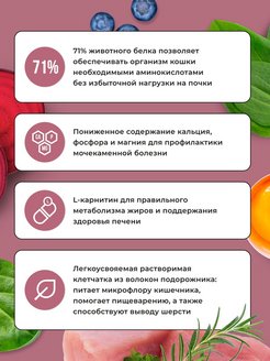 Bowl Wow 0,4кг с индейкой и свеклой сухой для стерилизованных кошек (660125) Bowl Wow 0,4кг с индейкой и свеклой сухой для стерилизованных кошек (660125)