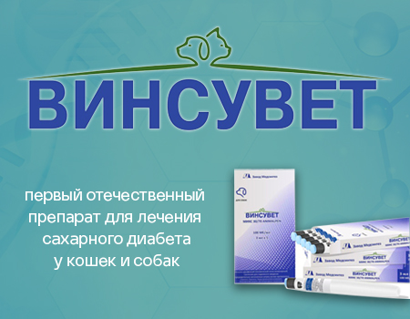 Винсувет — препарат для лечения сахарного диабета