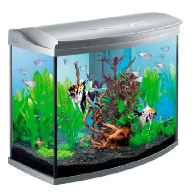 Аквариум (Tetra) "Aqua Art" 130л Evolution серебро Аквариум (Tetra) "Aqua Art" 130л Evolution серебро