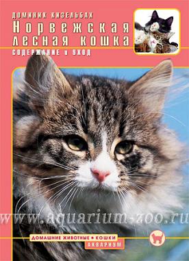 Норвежская лесная кошка. Содержание и уход, Кизельбах Д.(цвет)
