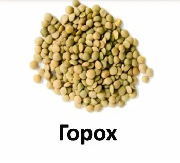 Alleva Equilibrium Maintenance 2кг сухой корм для взрослых собак всех пород с курицей и океанической рыбой (003032)