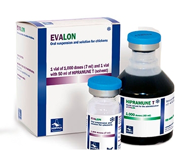 Эвалон + Разбавитель 1000 д (Цена указана за 1т.д.)