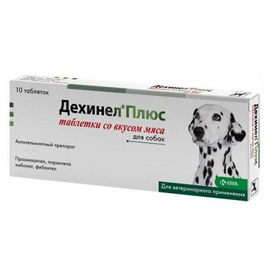 6efe6623-5479-11e0-b392-00235401e7ac_2