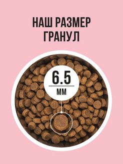 Bowl Wow 0,4кг с индейкой и яблоком сухой для кошек (660071) Bowl Wow 0,4кг с индейкой и яблоком сухой для кошек (660071)
