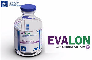 Эвалон + Разбавитель 5000 д (Цена указана за 1т.д.)