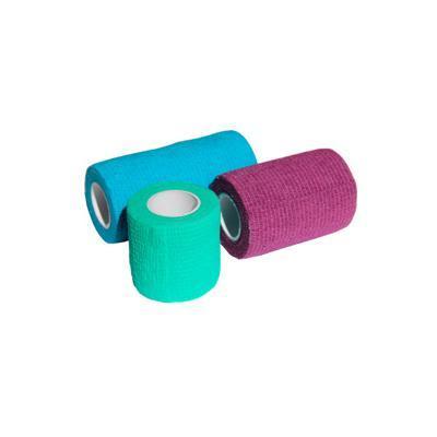 36406576-6de2-11eb-ab4a-00155d011501_1