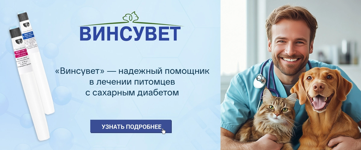 Винсувет - препарат для лечения сахарного диабета для кошек и собак