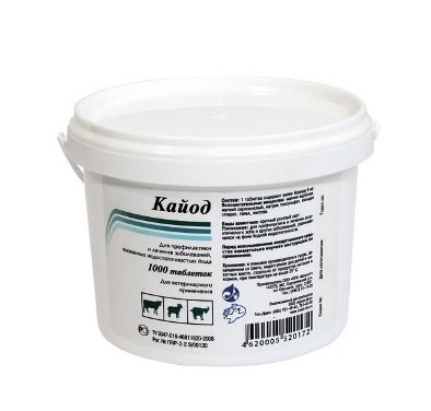 018c906c-64a7-11df-bb51-00235401e7ac_1