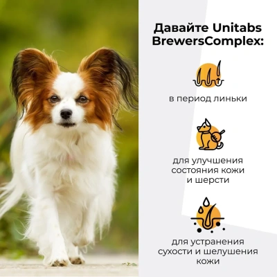 Юнитабс (Unitabs) Brewers Complex Q10 с пивными дрожжами для мелких собак 100таб./750г U203