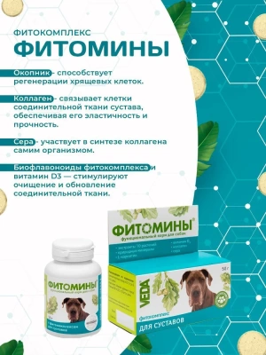 Веда VEDA Фитомины 0,05кг для суставов собак