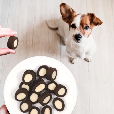 TiTBiT 0,13кг пастила мясная с уткой и кэробом для собак