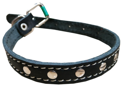 Ошейник (Аркон) черный 14мм, 22-29см