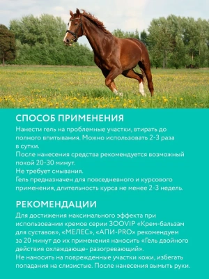 Гель Веда (VEDA) ЗооVIP 2в1 0,25л охлаждающий-разогревающий для суставов с камфорой и ментолом  Гель Веда (VEDA) ЗооVIP 2в1 0,25л охлаждающий-разогревающий для суставов с камфорой и ментолом
