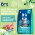 Brit Premium Cat 8кг Sensitive ягненок и индейка сухой корм при чувствительном пищеварении для кошек (49745) Brit Premium Cat 8кг Sensitive ягненок и индейка сухой корм при чувствительном пищеварении для кошек (49745)