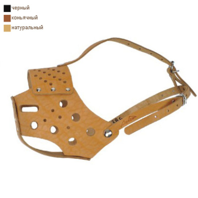 c4c5075a-208a-11e1-9425-0025902335b0_1