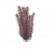 Растение (Tetra) DecoArt 38см Red Foxtail