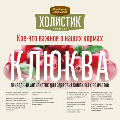 Деревенские лакомства Холистик Премьер 0,4кг курица сухой для котят (79213119)