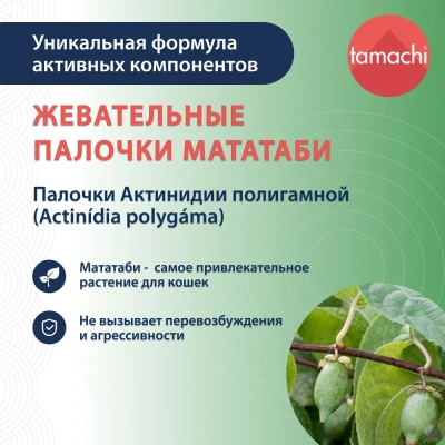 Tamachi Мататаби жевательные палочки для кошек 3шт