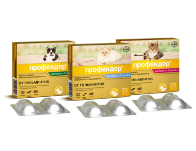 79ac8e73-b465-11dd-8dc3-000423bca304_1