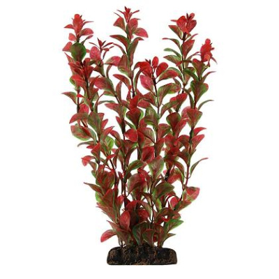 Растение (Laguna) 10см Людвигия красная Растение (Laguna) 10см Людвигия красная
