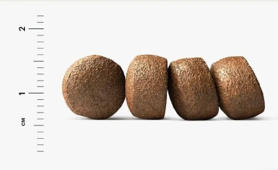 Alleva Equilibrium Sensitive 12кг с ягненком сухой корм для щенков всех пород (003025)