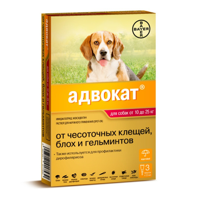 ec42fbb4-8560-11de-955a-00235401e7ac_2