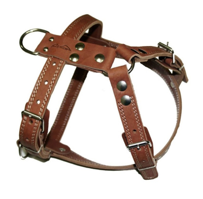 Шлейка (Аркон) ездовая коньячная (питбуль-терьер, стаф.терьер, боксер) 