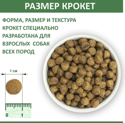 Родные корма 0,409кг (1 фунт) ягненок и рис сухой корм для собак (537987) Родные корма 0,409кг (1 фунт) ягненок и рис сухой корм для собак (537987)