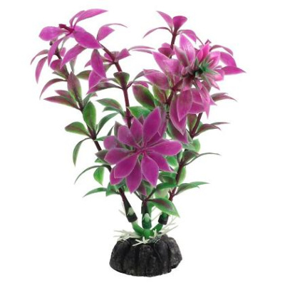 Растение (Laguna) 10см Ротала сиреневая Растение (Laguna) 10см Ротала сиреневая