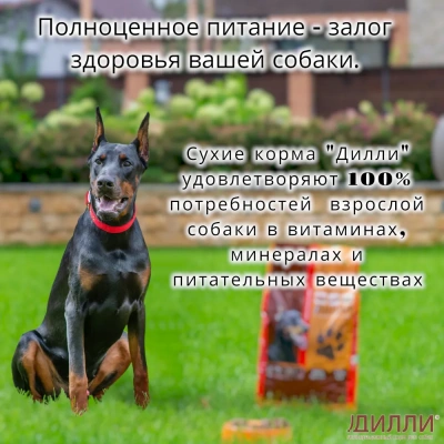 Дилли 4кг сухой корм для активных собак (003845)