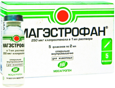 dea5d5c5-88fd-11d9-9648-bc8194f48eb4_1