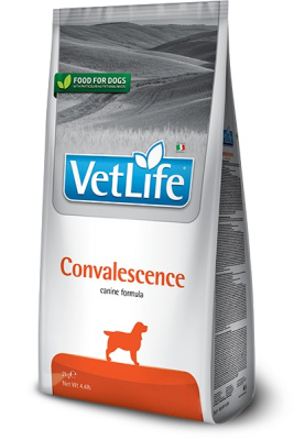 Farmina (Фармина) Vet Life Dog Convalescence 2кг сухой для собак после болезни 5043 (025210) Farmina (Фармина) Vet Life Dog Convalescence 2кг сухой для собак после болезни 5043 (025210)