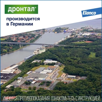 Дронтал (Bayer) 2таб. антигельминтик для кошек, 1таб./4кг (ЛИЦЕНЗИЯ)