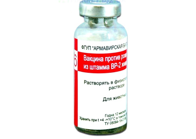 Вакцина п/в Рожи свиней, шт.ВР-2 живая сухая 100доз