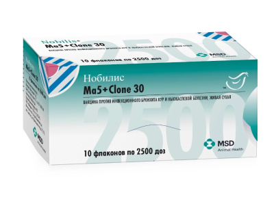 Нобилис MA5+Clone 30