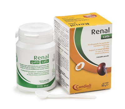 3f21734a-49a7-11eb-ab61-00155dc91204_1