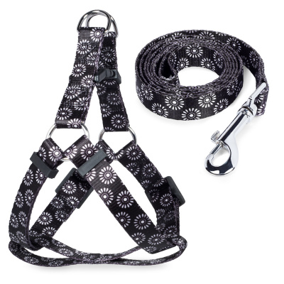 Комплект (Triol) Графит XS поводок + шлейка, нейлон; 10мм*120см, 10мм*26-35см