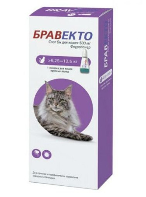 Intervet:  Бравекто СпотОн 500мг (1пип) от блох и клещей для кошек 6,25-12,5кг (на 12 недель)