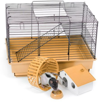 Клетка №1 одноэтажная, в комплекте домик, колесо, миска, 41х30х27см, бежевая для грызунов Клетка №1 одноэтажная, в комплекте домик, колесо, миска, 41х30х27см, бежевая для грызунов