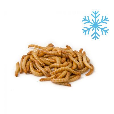 Онто (Onto) 0,04кг Мучной червь консервированный (328043)