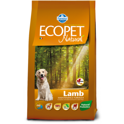 9e0e428a-4879-11e3-9e31-003048dc4e8b_1